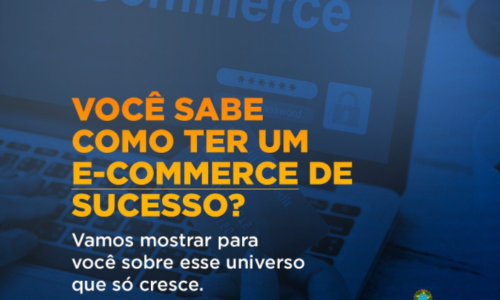 voce-sabe-como-ter-um-e-commerce-de-sucesso