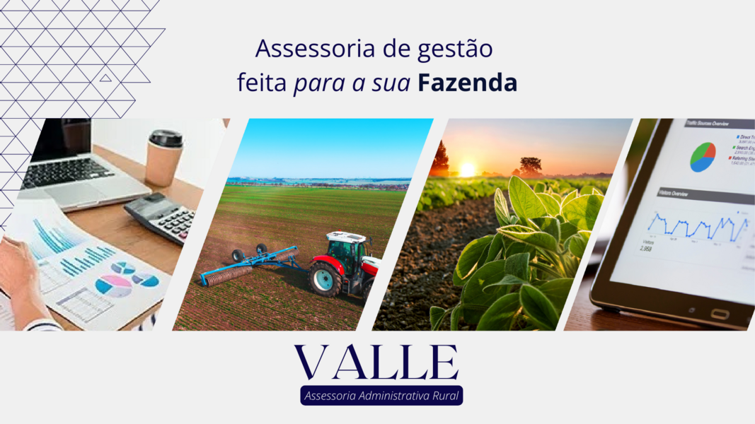 Valle Administração e Gestão