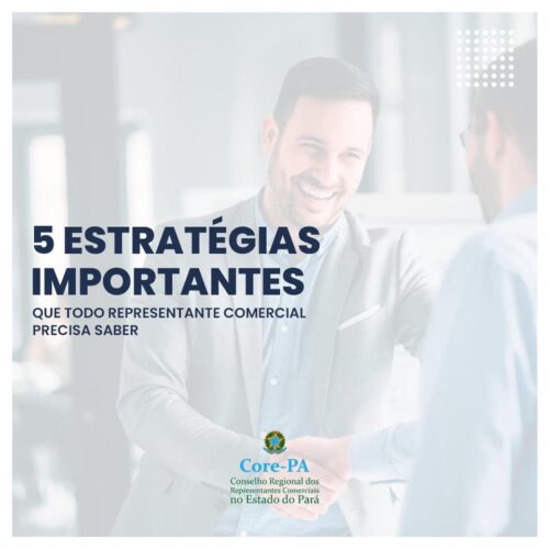 5 estratégias importantes que todo Representante Comercial precisa saber