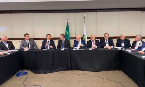 PARLAMENTARES SÃO HOMENAGEADOS DURANTE REUNIÃO PLENÁRIA DO CONSELHO FEDERAL